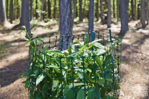 Other - 516 Flying Eagle Dr, Clover, SC 29710 photo 12 of 15