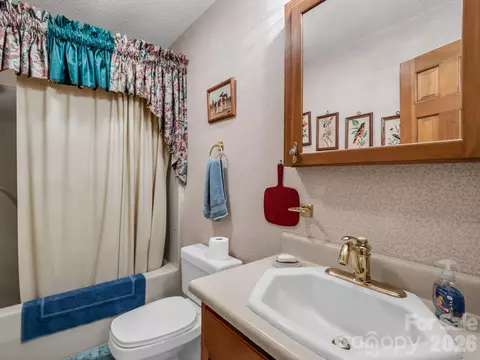 80 Fox Briar Dr, Columbus, NC 28722 photo 27