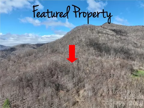 00 Neds Branch Rd, Waynesville, NC 28785
