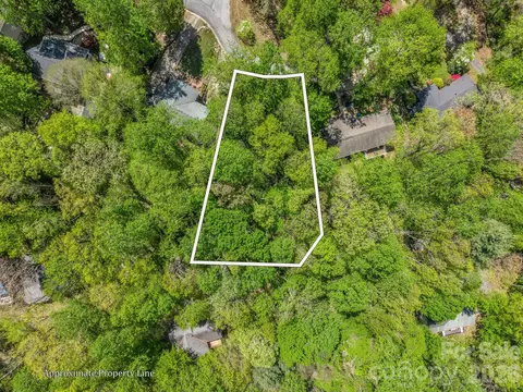 99999 Mountain Site Ln, Asheville, NC 28803