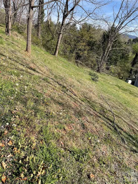 00 Locust St, Canton, NC 28716 photo 4