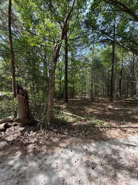 00 William Stevenson Rd, Richburg, SC 29729