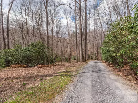 00 Norton Fork Rd, Spring Creek, NC 28743