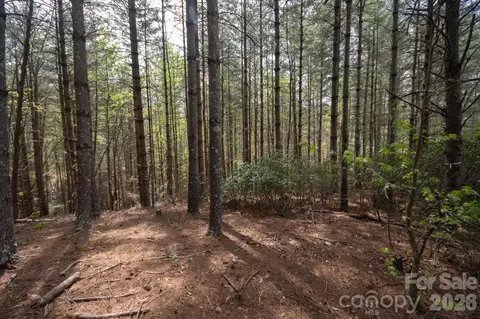 103 Big Tree Way, Nebo, NC 28761 photo 6