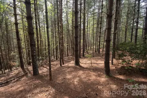 103 Big Tree Way, Nebo, NC 28761 photo 7