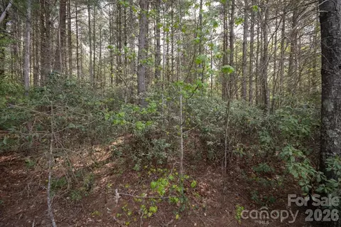 103 Big Tree Way, Nebo, NC 28761 photo 4