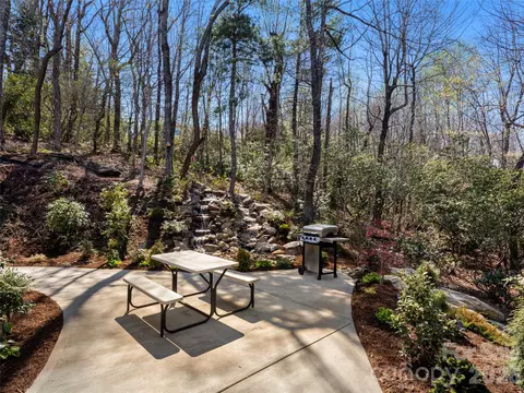 Other - 255 Dalhousie Ct, Flat Rock, NC 28731 photo 7 of 9