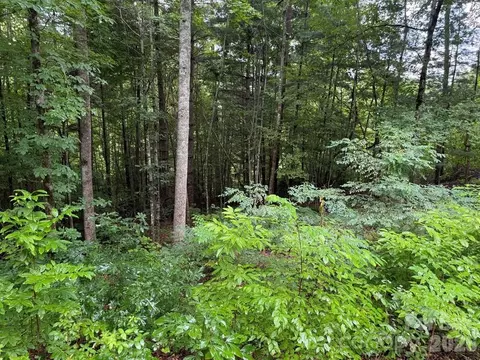 Garnet Road, Sylva, NC 28779 photo 4