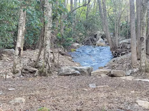 9999 Lytle Cove Road Rd, Swannanoa, NC 28778