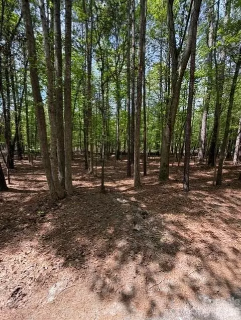 00 Truesdale Dr, Great Falls, SC 29055