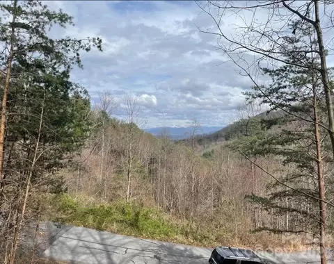 92 Mountain Magnolia Dr, Leicester, NC 28748