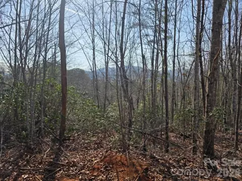 Kerlee Lane, Old Fort, NC 28762