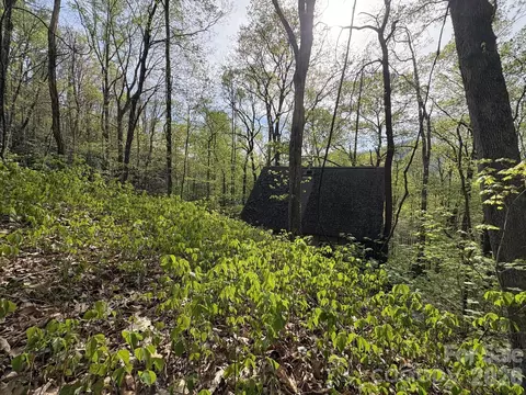 999999 Harwood Rd, Barnardsville, NC 28709