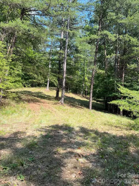 Lake Adger Parkway, Mill Spring, NC 28756 photo 7