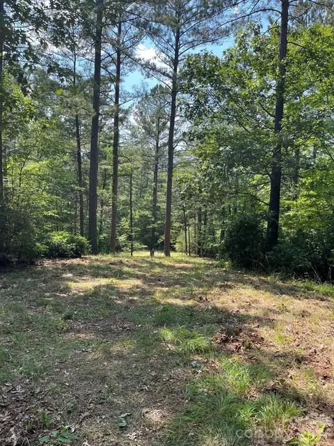 Lake Adger Parkway, Mill Spring, NC 28756 photo 9