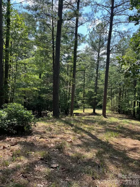 Lake Adger Parkway, Mill Spring, NC 28756 photo 11