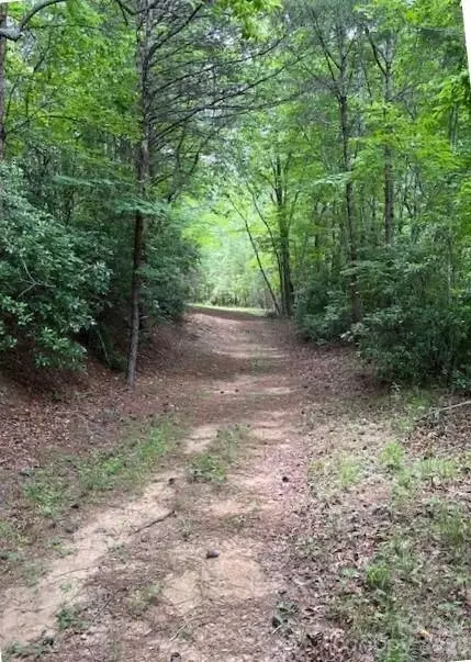 Lake Adger Parkway, Mill Spring, NC 28756 photo 4