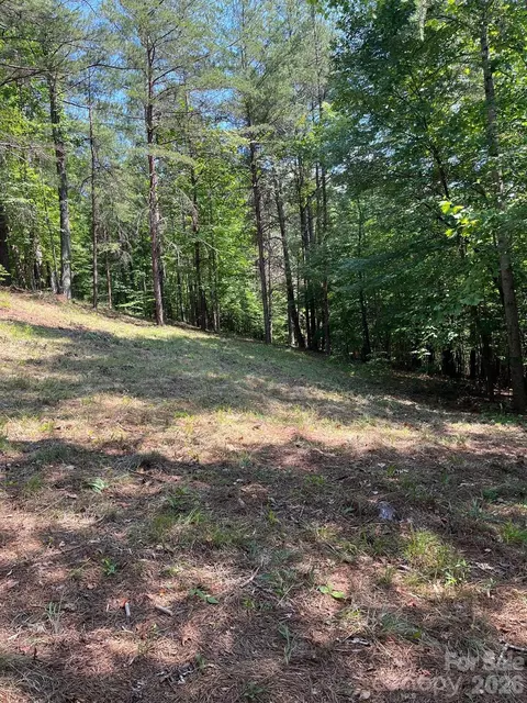 Lake Adger Parkway, Mill Spring, NC 28756 photo 8