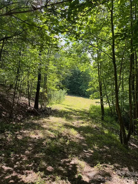 Lake Adger Parkway, Mill Spring, NC 28756 photo 13
