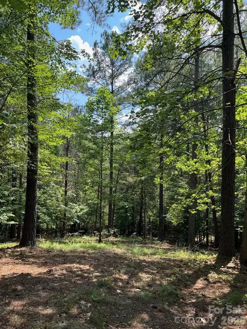 Lake Adger Parkway, Mill Spring, NC 28756 photo 10