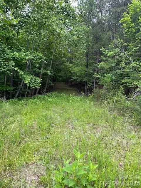 Lake Adger Parkway, Mill Spring, NC 28756 photo 5