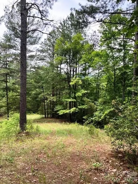 Lake Adger Parkway, Mill Spring, NC 28756 photo 6