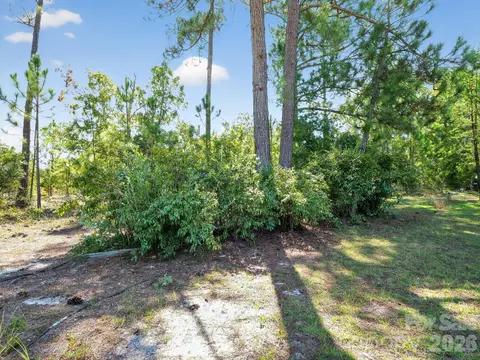 Exterior - 1035 Mcmillan Rd, Cheraw, SC 29520 photo 9 of 9