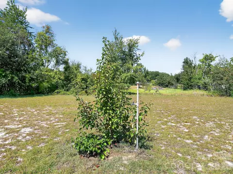 Exterior - 1035 Mcmillan Rd, Cheraw, SC 29520 photo 7 of 9