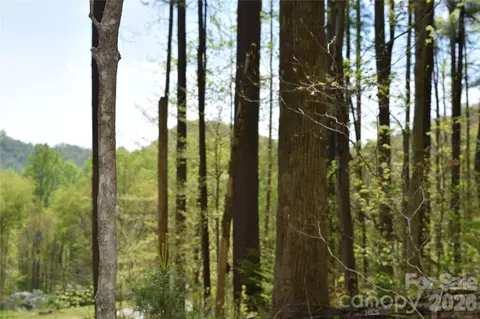 Cabin Flats Road, Balsam, NC 28707