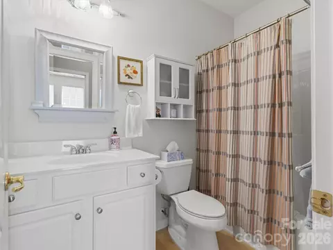 Bath - 1026 Platinum Dr, Fort Mill, SC 29708 photo 3 of 4