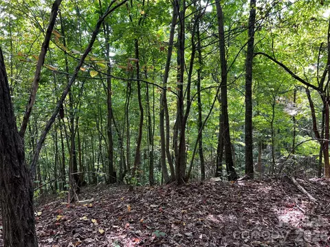 0 Old Forge 94 Dr #94, Bostic, NC 28018