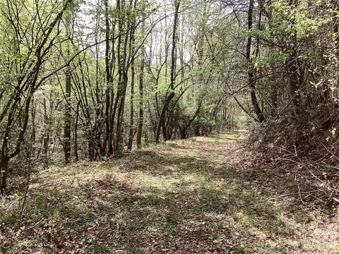 4017 Piney Rd, Morganton, NC 28655 photo 18