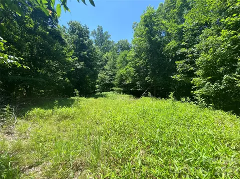 00 Scenic View 1 2 Dr #1 & 2, Green Mountain, NC 28740
