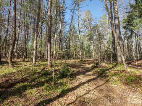 137 Nancy Ashworth 13 Ln #13, Fairview, NC 28730