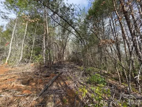 Kerlee Lane, Old Fort, NC 28762