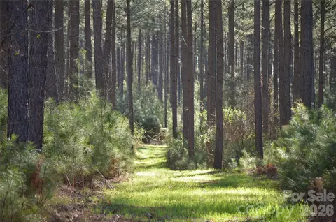 00 Peter Hawk Creek 12 Rd #12, Jonesville, SC 29353
