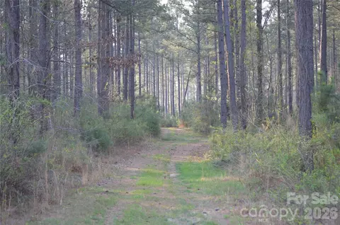 00 Peter Hawk Creek 13 Rd #13, Jonesville, SC 29353