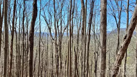 00 Maynor Dr, Sylva, NC 28779 photo 29