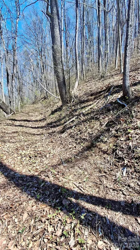 00 Maynor Dr, Sylva, NC 28779 photo 6