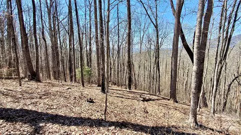 00 Maynor Dr, Sylva, NC 28779 photo 22