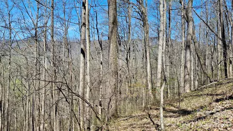 00 Maynor Dr, Sylva, NC 28779 photo 10