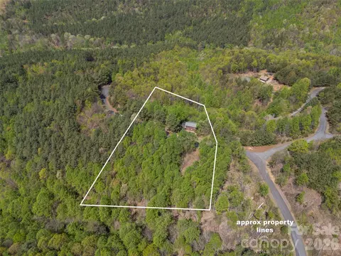 View/Area - 116 Sagamore Trl, Bostic, NC 28018 photo 8 of 9