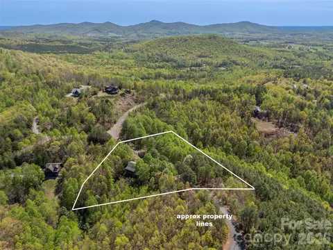 View/Area - 116 Sagamore Trl, Bostic, NC 28018 photo 3 of 9