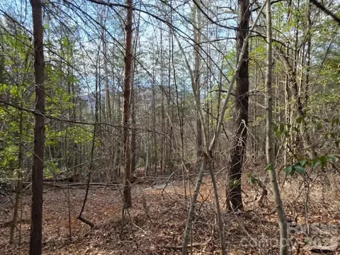 Kerlee Lane, Old Fort, NC 28762