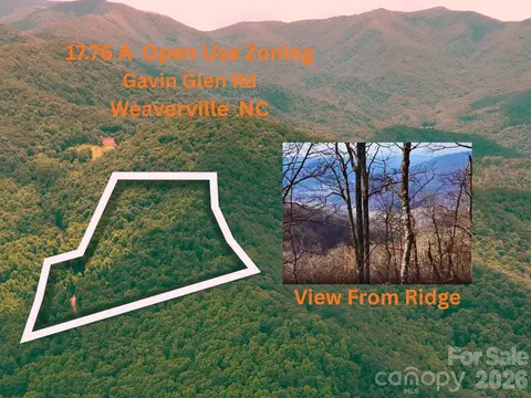 135 Gavin Glen Rd, Weaverville, NC 28787
