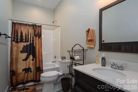 Bath - 3171 E Fork Rd, Brevard, NC 28712 photo 7 of 7
