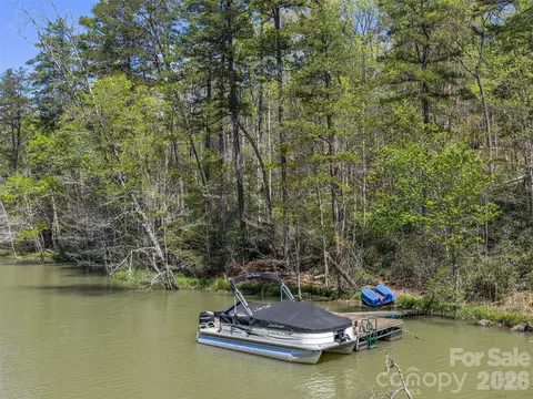 View/Area - 308 N Coast Dr, Mill Spring, NC 28756 photo 2 of 6