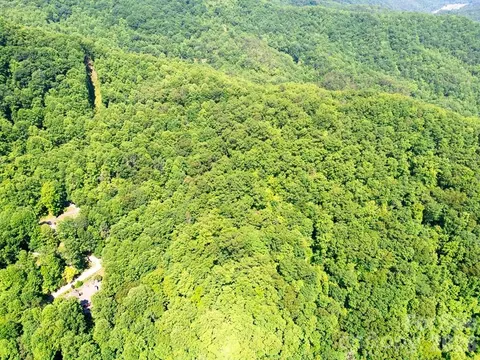 Red Hawk Bluff, Sylva, NC 28779 photo 9