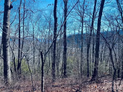 Red Hawk Bluff, Sylva, NC 28779 photo 23