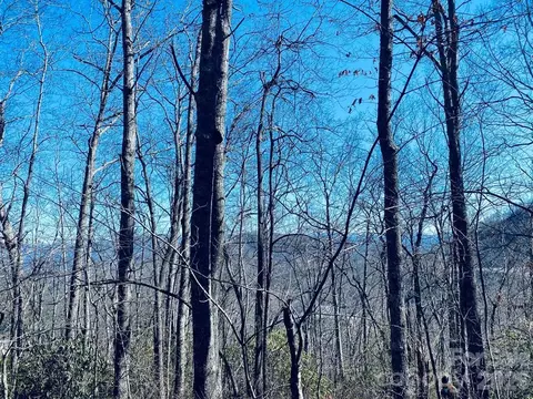 Red Hawk Bluff, Sylva, NC 28779 photo 18